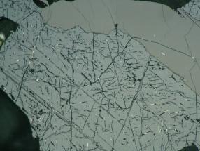 Photomicrographs: (g & h) Pyrite enclosing fragmented pentlandite