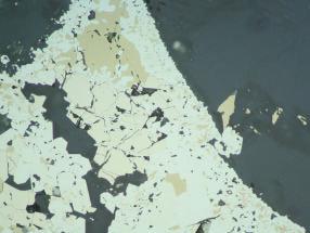 Pyrite in fractures within altered plagioclase (alt. plag).