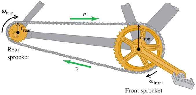 A9.4 Compared to a gear tooth on the rear sprocket (on the left, of small radius) of a bicycle, a gear tooth on the front sprocket (on the right, of large radius) has A.