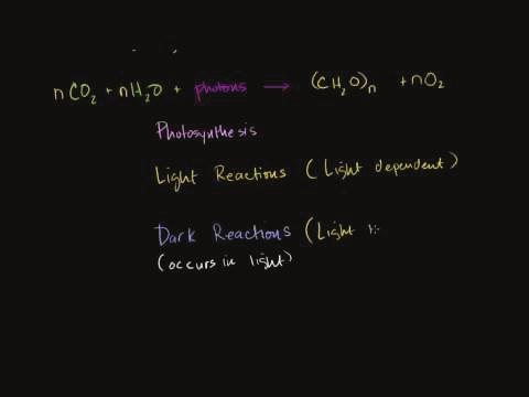 www.ck12.org 91 An overview of photosynthesis is available at http://www.youtube.com/user/khanacademy#p/c/7a9646bc5110cf64 /26/-rsYk4eCKnA (13:37). MEDIA Click image to the left for more content.