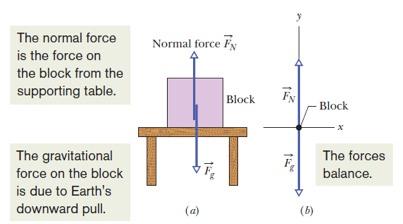 Normal Force: When a body presses against a surface, the surface (even a seemingly rigid one) deforms and pushes on the body with a normal force, F N, that is perpendicular to the surface.