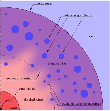 AGN feedback from accretion disk winds (Zubovas &