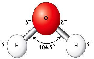 The unequal sharing of electrons results in charged ends (poles) of the molecule. molecules result when atoms do not share electrons equally between atoms.