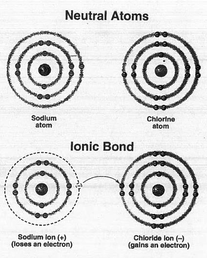 2. bonding is the attractive force between two ions of