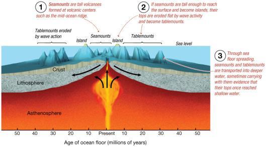 Plate Tectonics and Intraplate Features Seamounts Rounded tops Tablemounts or guyots Flattened tops Subsidence of flanks of mid-ocean ridge Wave erosion may flatten seamount.