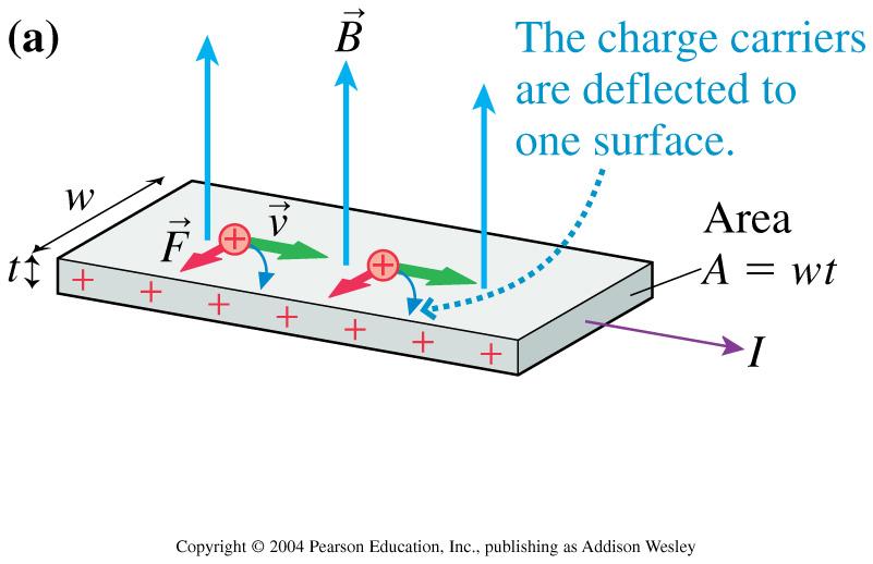 Hall effect l The separation of charges creates an electric field