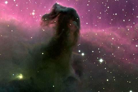 Dark nebula Dark nebula are so opaque that the dust grains