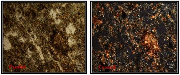 Petrograph of Ultramfic Rocks in the Research Sites Color: Greyish orange; Cleavage: Poor/Indistinct; Fracture: Uneven; Textures: Primary Growth Textures; Pleochroism: -; Anisotropism: Weak; Internal