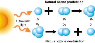 Ozone Oxygen is not only important for respiration.