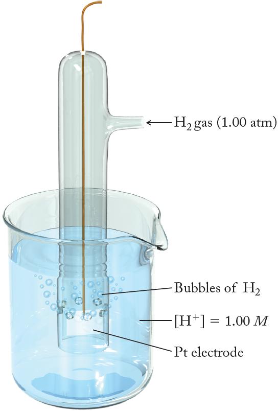 A Reference Point: The Standard Hydrogen Electrode 2 H + (aq) + 2 e H2(g)