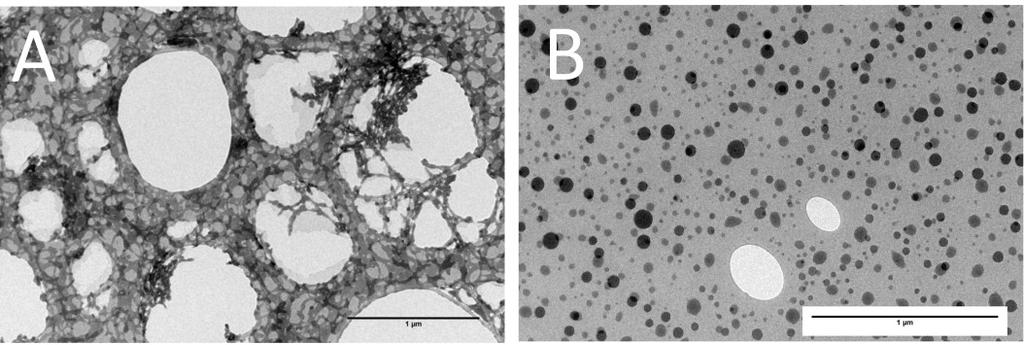 Figure S3. Figure S3. TEM images of the photoinduced titanium-based nanoparticles from the photolysis of TiOx2/Iod in propan-2-ol (A and B).