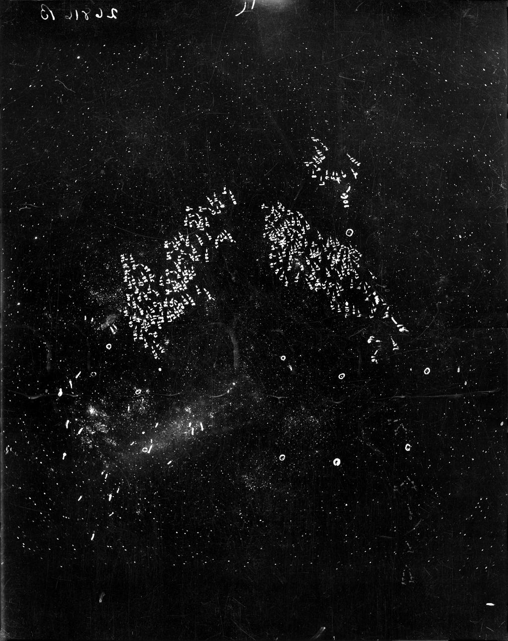 Henrietta Swan Leavitt Photographic Plates Leavitt worked under Pickering to study the variable stars in the Large Magellanic Cloud Plate b26816 of Large Magellanic Cloud taken on December 18, 1900