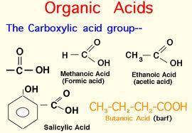 Aldehydes and Ketones organic compounds that contain an identical functional group called the carbonyl group the carbonyl group contains a carbon atom joined by a double covalent bond to oxygen