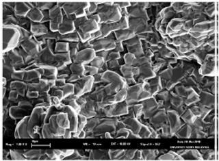 SEM image of the top surface of support layer greater amount causing the surface smoother Comparing the surface morphology of the resulting zeolite membrane with the zeolite membrane in previous