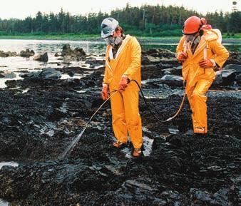 Other bioremediation applications include cleaning up oil spills (Figure 27.23) and precipitating radioactive material (such as uranium) out of groundwater.