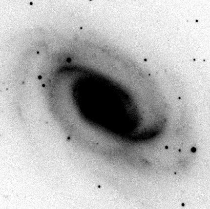 NGC3054 K int NGC3054 K rms NGC3054 K no. FIGURE 1: Maps of NGC 3054 observed in K band in negative representation.