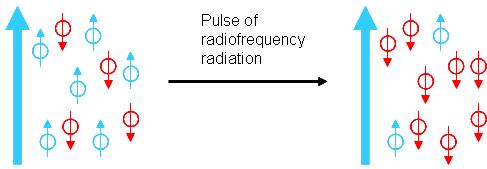 Resonance: When they are subjected to a pulse of radiofrequency radiation, some nuclei flip from parallel to anti parallel: This promotes the nuclei from low energy spin (parallel) to high energy