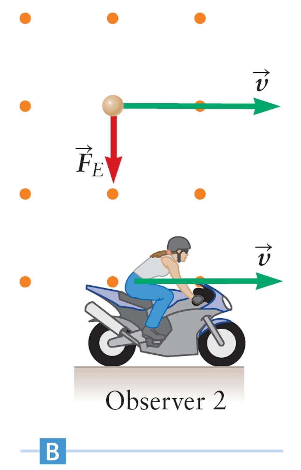 Force on a Torque on a The magnetic force exerted on a moving charged particle is dependent on its velocity.