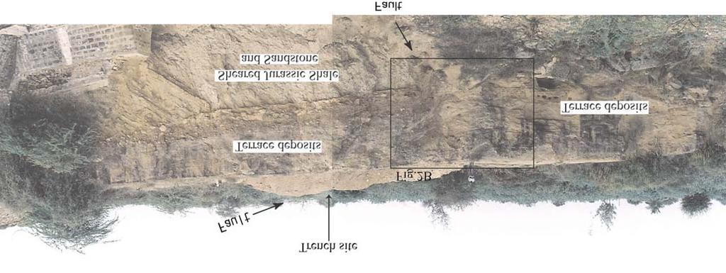 184 Michio Morino et al Figure 2(A). Fault exposure on the left bank of Khari River near Wandhay Dam. Arrows show the fault trace displacing the terrace deposits.