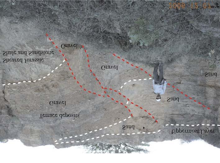 Note the change in the inclination of terrace surface to the north and to the south of fault trace (projected by arrow) at the base (person standing on top of the surface for scale).