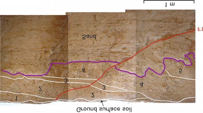 Terrace deposits are composed of Sand, Gravel-1, Silt, and Gravel-2 layers. These terrace deposits are covered by younger Quaternary deposits. See text for details. Figure 5.