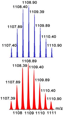 Figure S11. 31 P{ 1 H} MR spectrum (161.8 MHz, dichloromethane-d 2, 293 K) of 1.