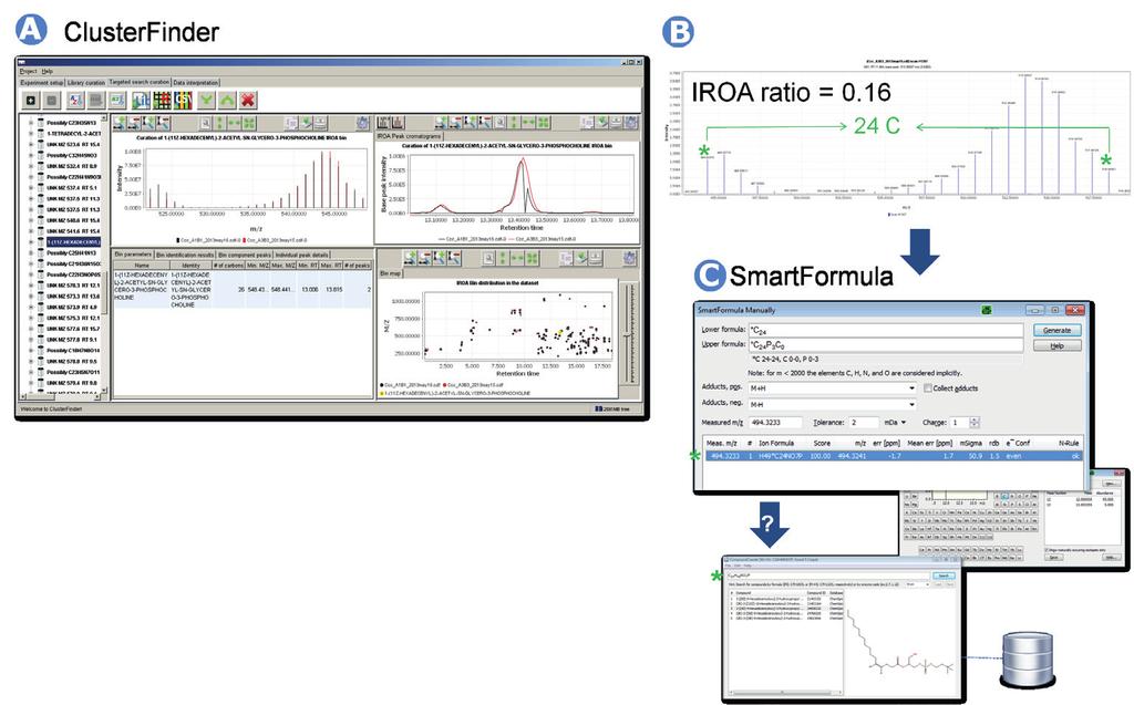 Complementary to the IROA ClusterFinder, the analysis tool SmartFormula allowed for the verification of molecular formula suggestions by combining accurate mass and isotopic pattern information.