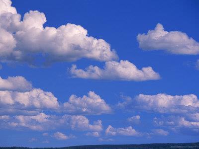 These clouds form when warm, moist air rises and cools.