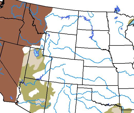The National Weather Service long-range flood outlook calls for less than a 50 percent chance of flooding through the end of October for the upper reaches of the Wind River.