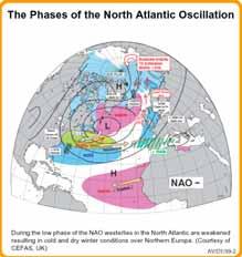 The North Atlantic Oscillation NAO The North Atlantic Oscillation NAO ENSO - NAO Interactions Major climate