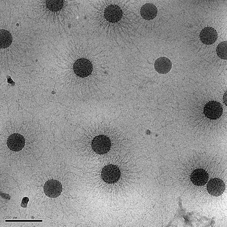 CryoTEM imaging of Spherical Polyelectrolyte brushes (SPB) seeing is believing