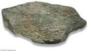 179 Diagenesis Shale Low grade Intermediate grade Slate Phyllite Schist (abundant micaceous minerals) Gneiss (fewer micaceous