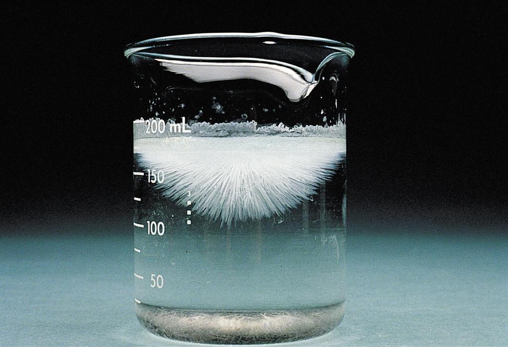 Figure 12.4: Crystallization from a supersaturated solution of sodium acetate.