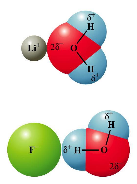 Figure 12.8: Attraction of water molecules to ions because of the iondipole force.