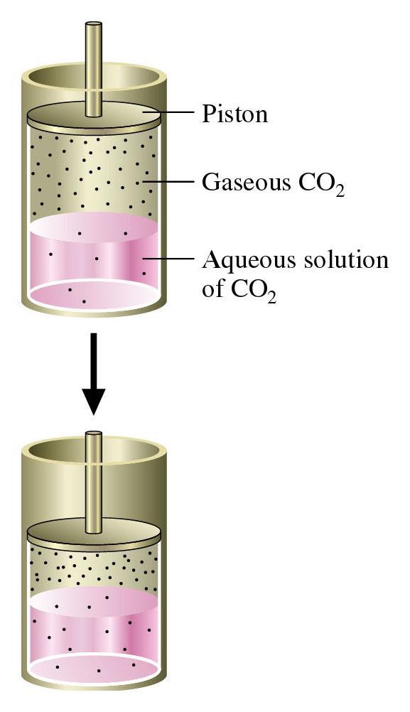 Figure 12.13: Effect of pressure on gas solubility.