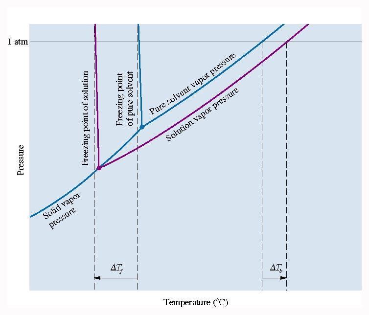 Figure 12.20: Phase diagram showing the effect of nonvolatile solute on freezing point and boiling point.