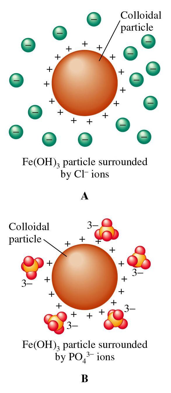 Figure 12.29: Layers of ions surrounding charged colloidal particles.