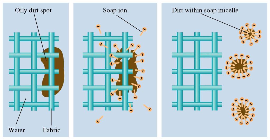 Figure 12.31: The cleansing action of soap.