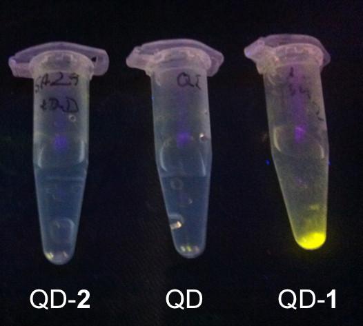 The non-fluorescent supernatant of the solution containing 6 L of 1 shows an almost quantitative uptake of the dye to self-assemble onto the QD (Figure S16a).