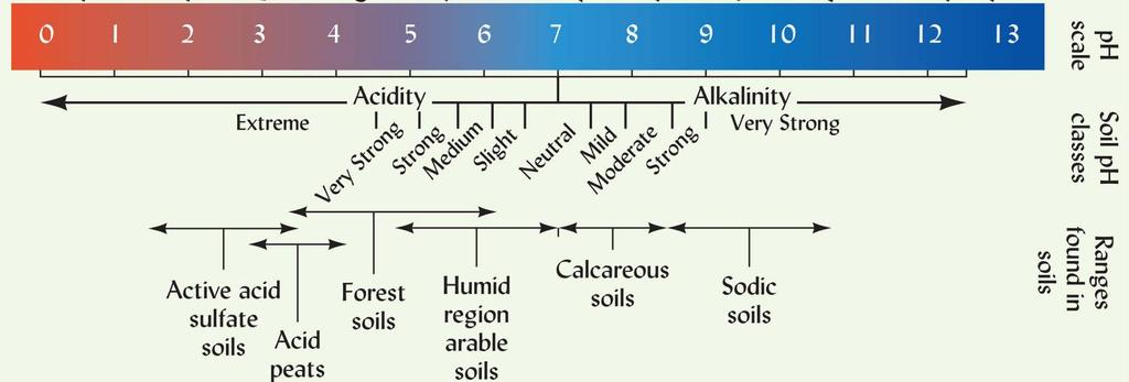 ph Range of Soils Spodosols Ultisols Alfisols Mollisols
