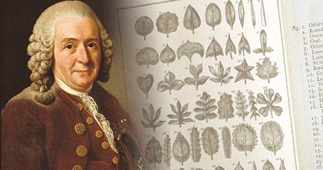 Classification systems Carl Linnaeus is a Swedish naturalist who considered as the 'Father of Taxonomy' because of his contributions to the taxonomy.