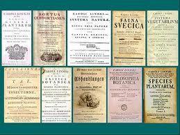 Rules of Binomial Nomenclature (Linnaeus) The scientific name