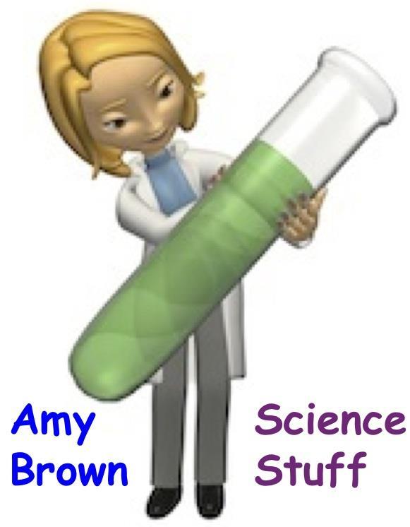 Created by Amy Brown Science Stuff Copyright January 2012 Amy Brown (aka Science Stuff) All rights reserved by author.