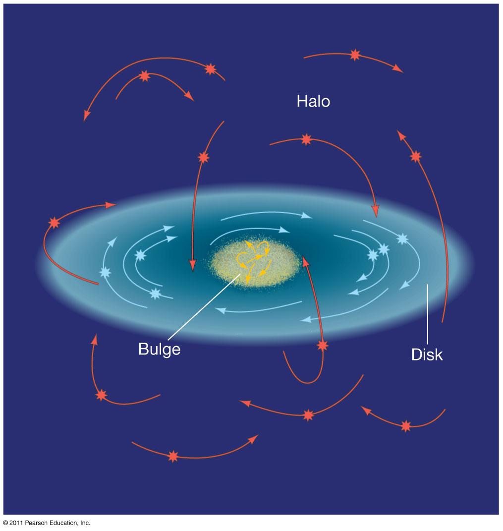 23.3 Galactic Structure Stellar orbits in the disk move on a plane and