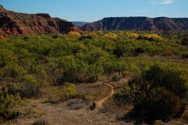Palo Duro Canyon The Palo Duro Canyon in the