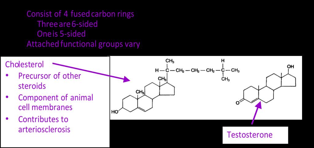 Saturated: No double bonds between carbons Straight