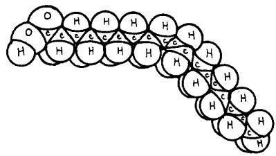 between carbons Hydrocarbon chain is bent Usually solid