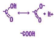 Functional Groups: Affect a molecule s function by participating in chemical reactions.