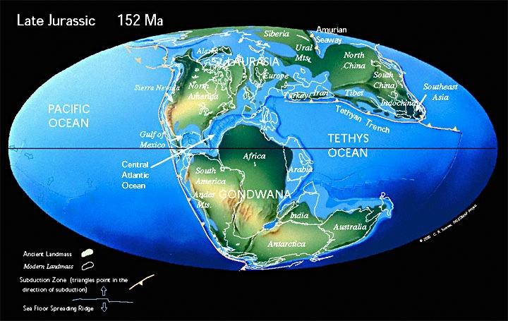 = Carboniferous Modern eologic Time Scale Holocene Pleistocene Pliocene Miocene Oligocene Eocene