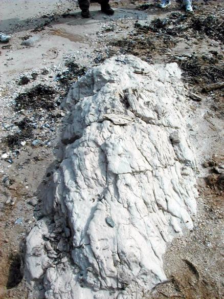 Cretaceous Clay
